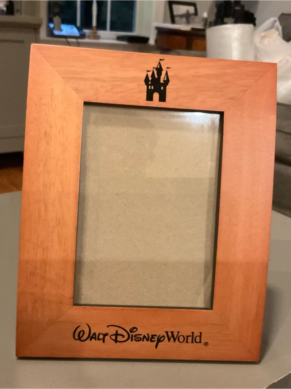 Walt Disney World Wood Frame, 5 X 7, Excellent!